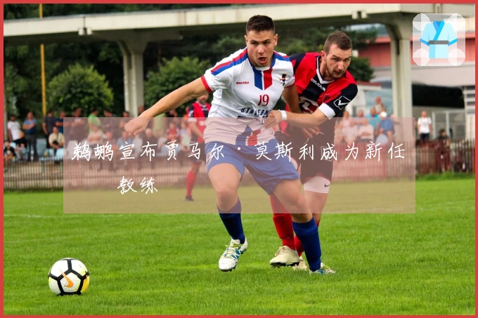 鹈鹕宣布贾马尔·莫斯利成为新任主教练